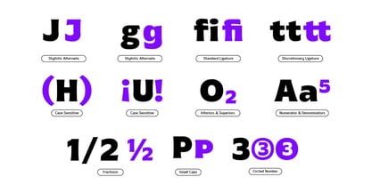 MTC Gilcho Font Poster 9