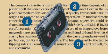 Capicu Font Poster 5