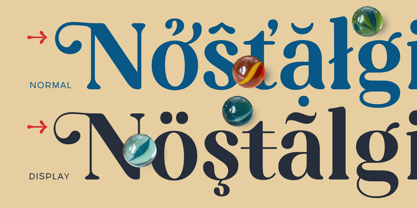 Capicu Font Poster 3