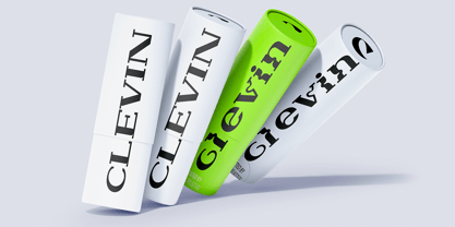 Newborn Times Font Poster 5