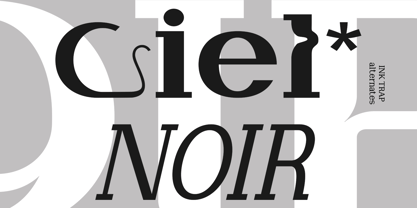 Newborn Times Font Poster 2