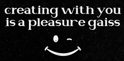 Newborn Times Font Poster 10