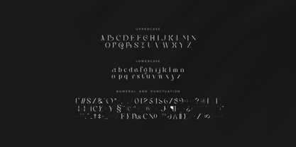 Bilea Font Poster 14