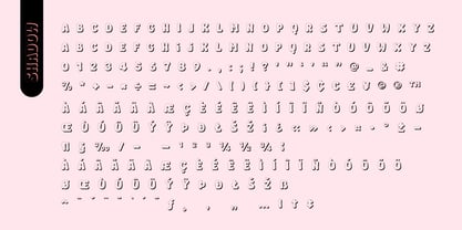 Fox Kind Font Poster 13