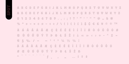 Fox Kind Font Poster 11