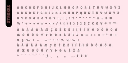 Fox Kind Font Poster 10