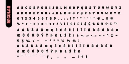 Fox Kind Font Poster 9