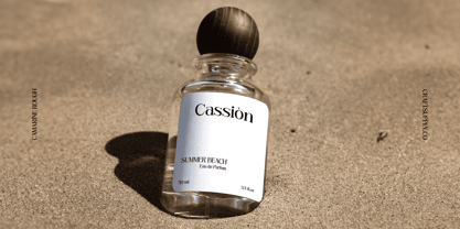 Camarine Rough Font Poster 3