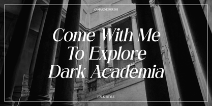 Camarine Rough Font Poster 2