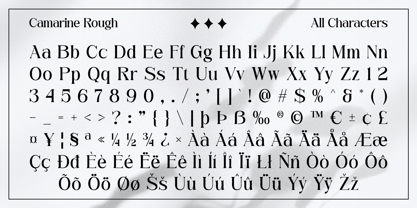 Camarine Rough Font Poster 6