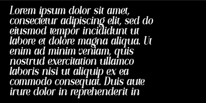 Callivora Font Poster 6