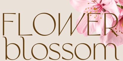 Sorento Font Poster 10