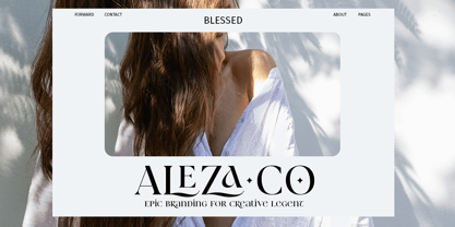 Sericate Font Poster 12