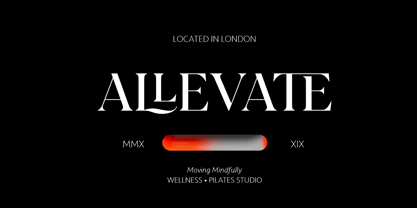 Sericate Font Poster 2