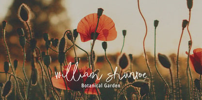 Welcome Honey Signature Font Poster 3