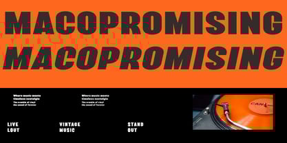 Camode italic Font Poster 4