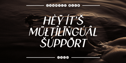 Canpile Blur Font Poster 5