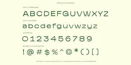 SCC Salemo Font Poster 3