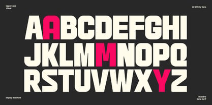 GC infinity sans Font Poster 2