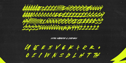 Lowerflow Font Poster 10