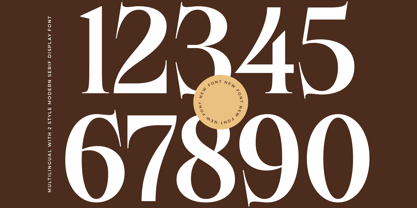 Besteza Font Poster 13