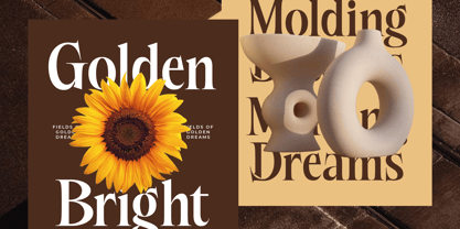 Besteza Font Poster 11