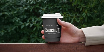 Bonwick Weaver Font Poster 3