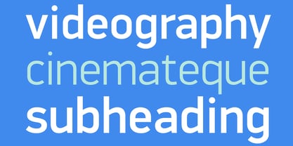 PF DIN Display Pro Font Poster 3