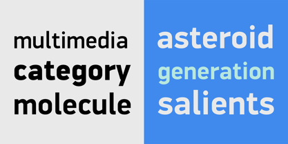 PF DIN Display Pro Font Poster 4