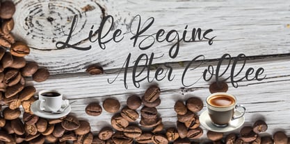 Fresh Tune Font Poster 4