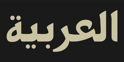 PF Nuyork Arabic Font Poster 1