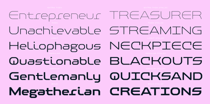 PF Baseline Pro Font Poster 6