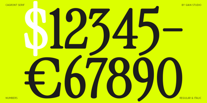 Cagront Serif Font Poster 10