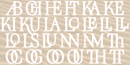 Cagront Serif Font Poster 5