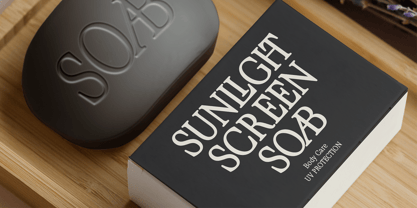 Cagront Serif Font Poster 9