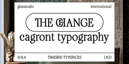 Cagront Serif Font Poster 6