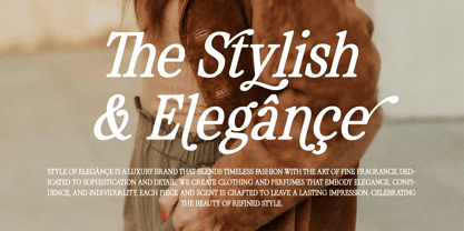 Cagront Serif Font Poster 2