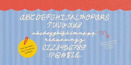 Mediana Script Font Poster 6
