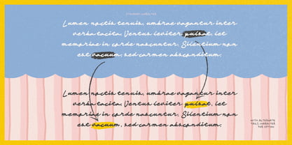 Mediana Script Font Poster 7