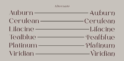 Grace Zyora Font Poster 13