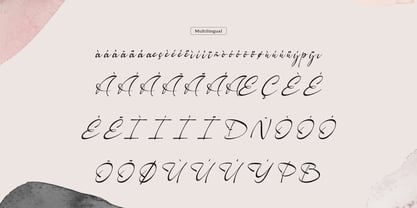 Faduga Elistonia Font Poster 11