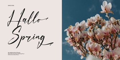 Faduga Elistonia Font Poster 2