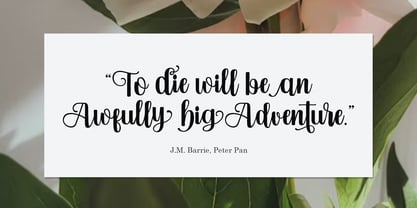 Vebita Font Poster 5