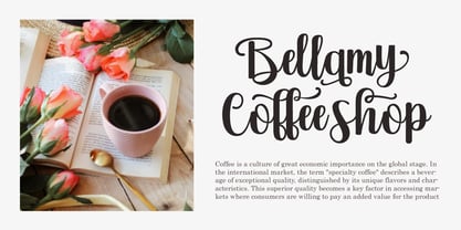 Vebita Font Poster 4