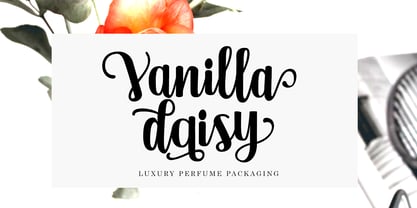 Vebita Font Poster 3