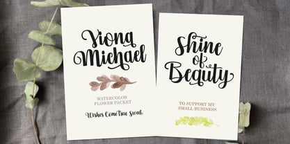 Vebita Font Poster 2