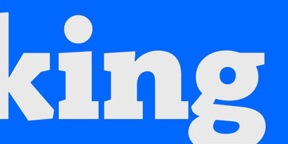 PF Bague Slab Pro Font Poster 4