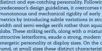 PF Bague Slab Pro Font Poster 10