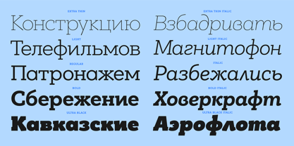 PF Bague Slab Pro Font Poster 14