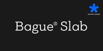 PF Bague Slab Pro Font Poster 6